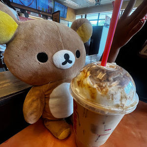 Meet your Posher, Sukii